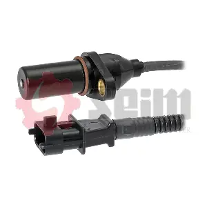 CP318 SEIM