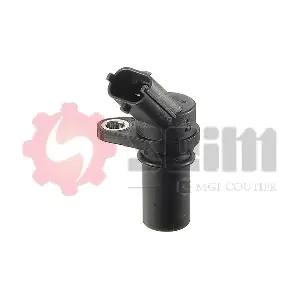 CP373 SEIM