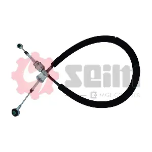 555253 SEIM
