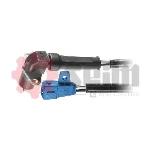 CP107 SEIM