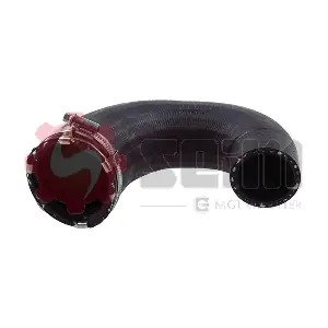 981500 SEIM