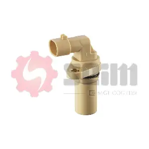 CP253 SEIM