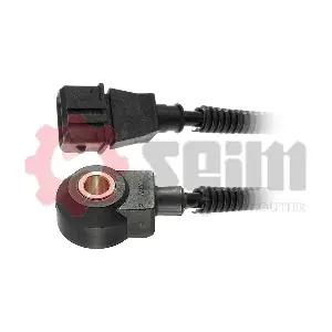 CC62 SEIM