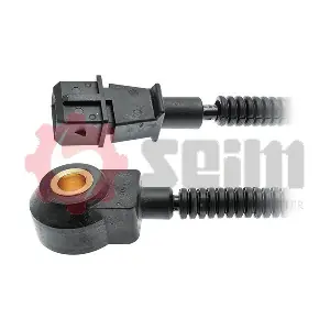 CC113 SEIM