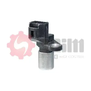 CP291 SEIM