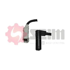 CP62 SEIM