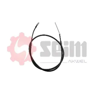 555381 SEIM