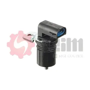 CP227 SEIM