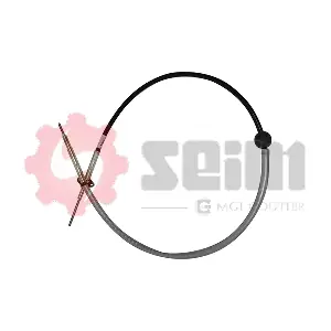 554810 SEIM