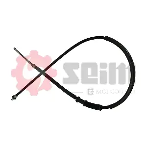 703499 SEIM