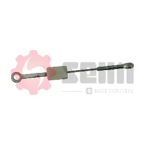 603294 SEIM