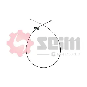 554394 SEIM