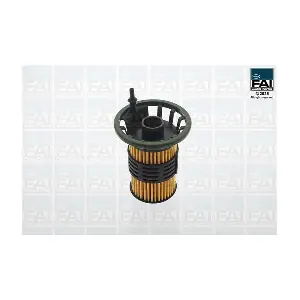 FPFF110 FAI AutoParts