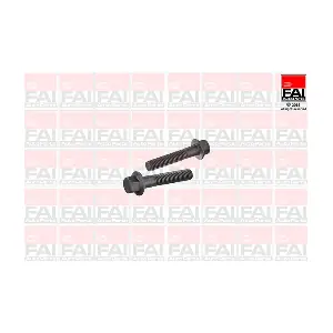 SS9254BK FAI AutoParts