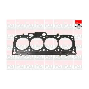HG1009 FAI AutoParts