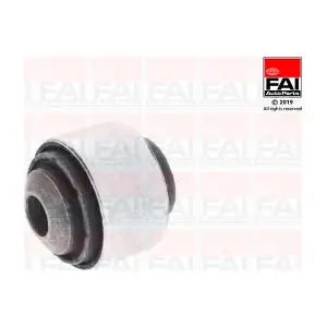 SS10324 FAI AutoParts