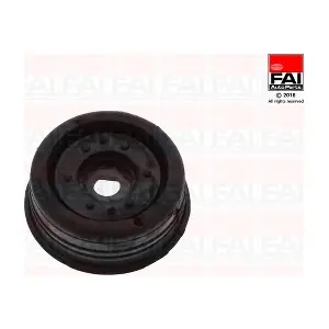 SS9111 FAI AutoParts