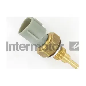 WS1191 INTERMOTOR