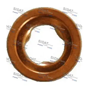 81069 SIDAT