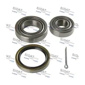 460199 SIDAT