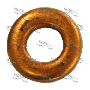 81055 SIDAT