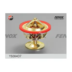 TC107130610001 LIAZ