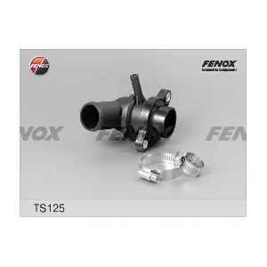 TS125 FENOX