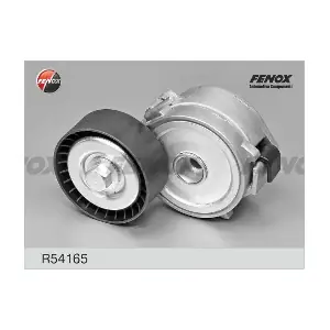 R54165 FENOX