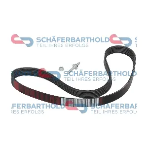 300 06 301 01 11 ORIGINAL Schaferbart