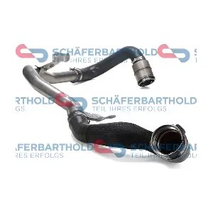 310 28 855 01 11 ORIGINAL Schaferbart