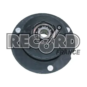 924914 RECORD FRANCE