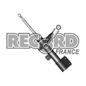 104709 RECORD FRANCE