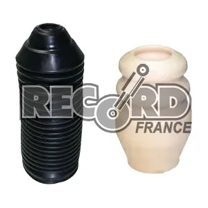 925713 RECORD FRANCE
