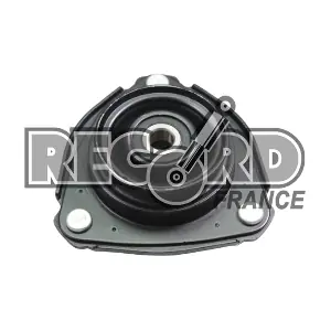 926126 RECORD FRANCE
