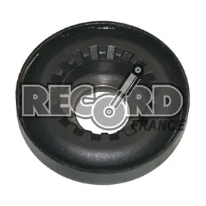 924967 RECORD FRANCE