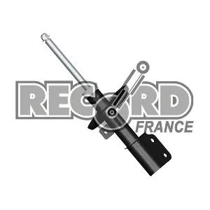 334811 RECORD FRANCE