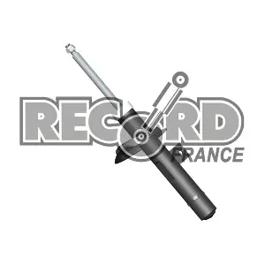 10 4372 RECORD FRANCE
