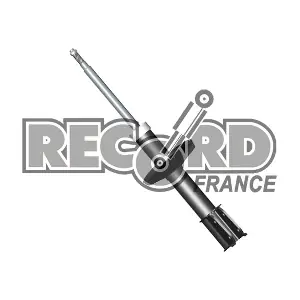 104446 RECORD FRANCE