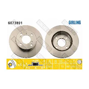 6073891 GIRLING