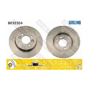 6010304 GIRLING