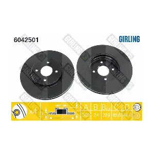 6042501 GIRLING