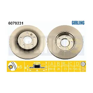 6079231 GIRLING