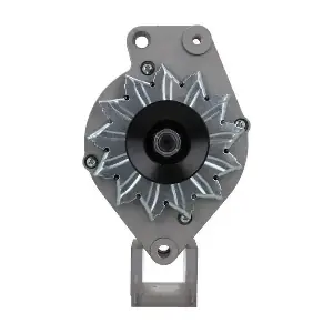 305.036.065.010 BV PSH