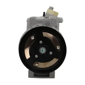 090.205.009.500 BV PSH