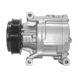 090.495.001.310 BV PSH