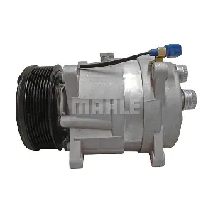 090.465.003.310 BV PSH