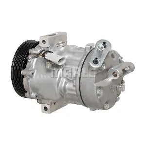 090.135.062.310 BV PSH