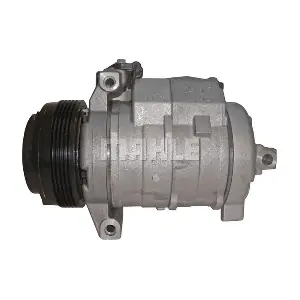 090.215.089.310 BV PSH