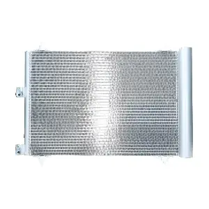 090.221.009.000 BV PSH