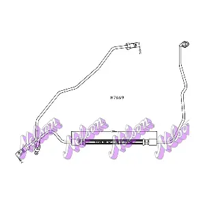 H7669 KAWE